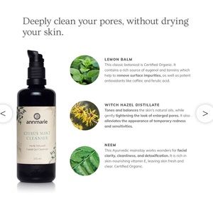 NIB Annmarie Citrus Mint Cleaneser